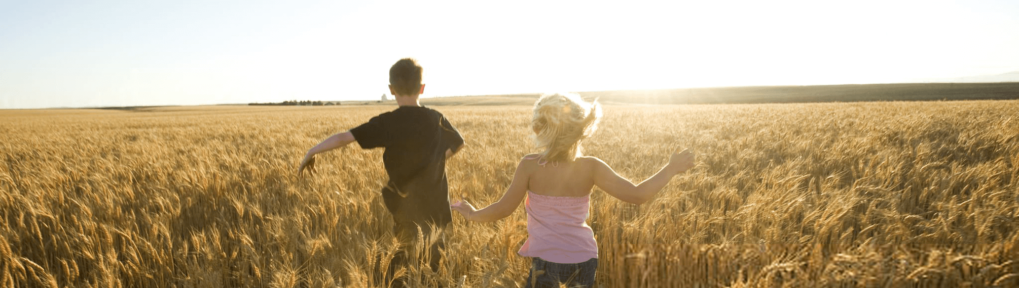 Children running through a golden wheat field on a sunny day