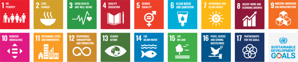 the 17 sustainable development goals